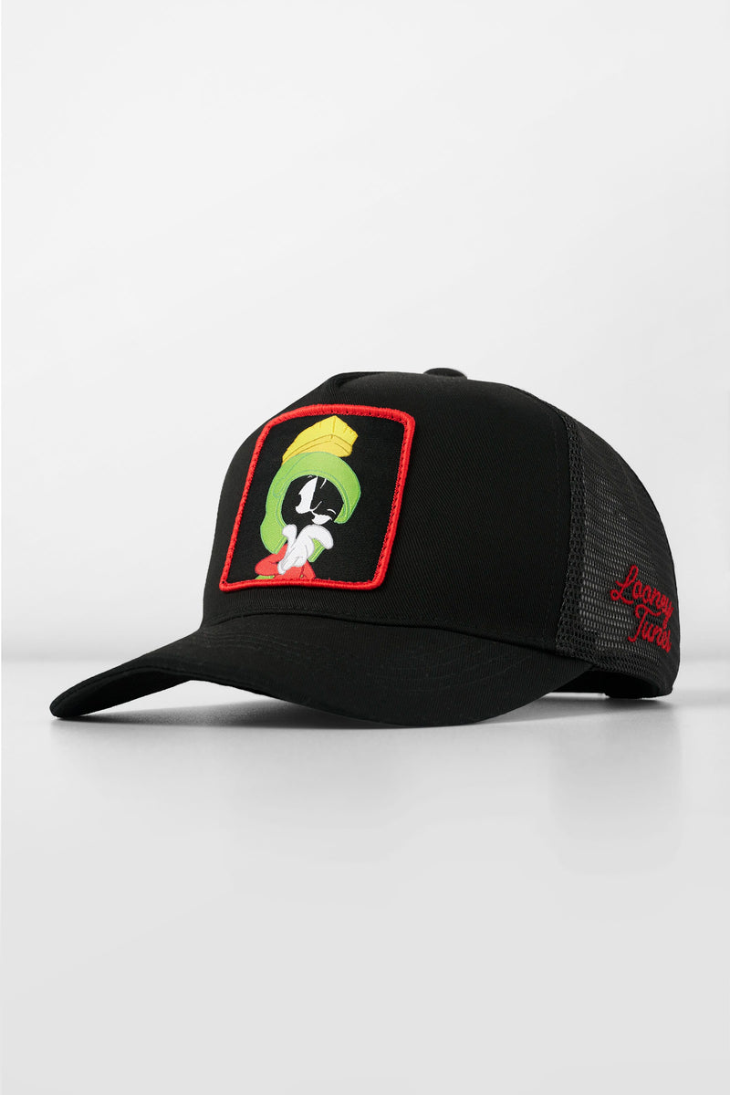9135 - Looney Tunes Patch Trucker Hats